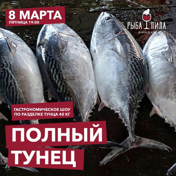 Полный тунец в Рыбе Пиле
