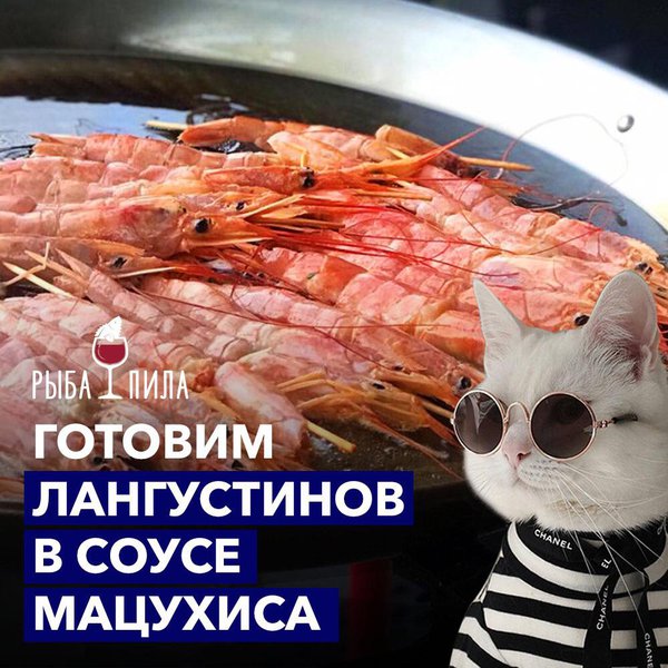 Шеф готовит лангустинов в зале Рыбы Пилы